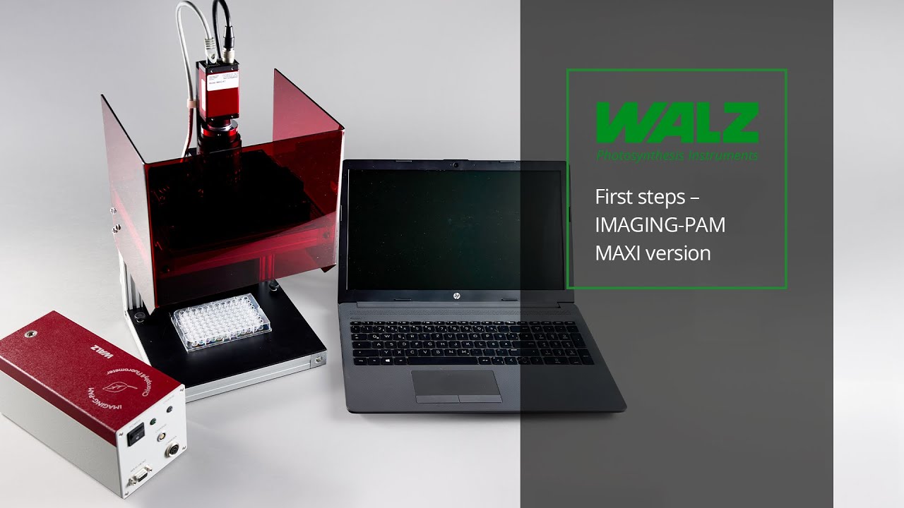 WALZ - First steps - IMAGING-PAM Maxi Version