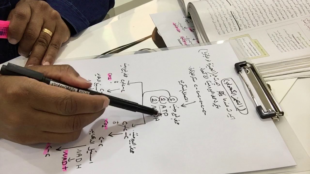 التخمر الكحولي