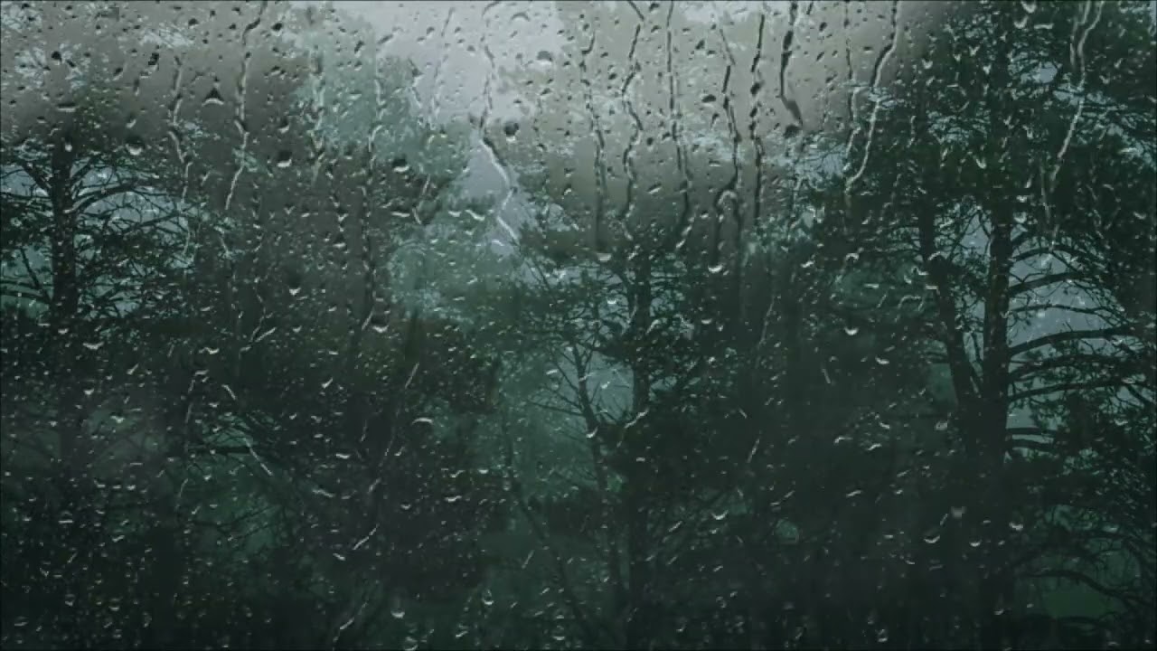 그냥 쉬고 싶을 때 틀어 놓는 빗소리  🌲💧  숲 속의 오두막 유리창에 내리는 빗소리  😴🌲  불면증 해소,  정서적 안정,  #빗소리  #힐링 #rain #rainsound
