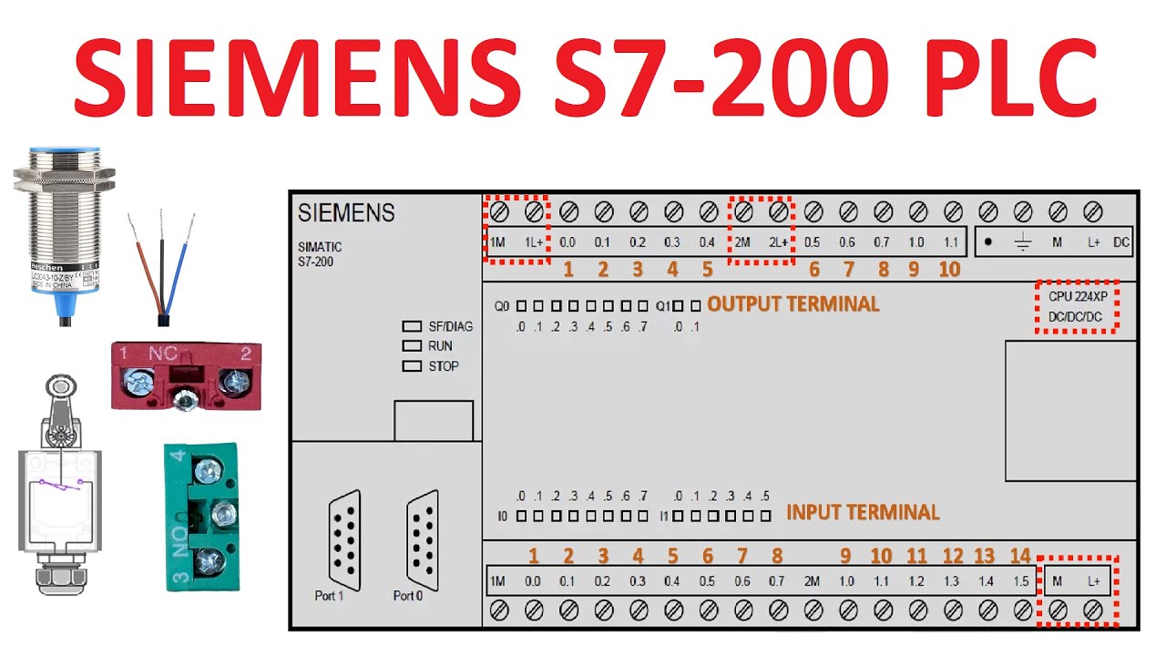 PLC SIEMENS S7-200 ITS TERMINAL DETAIL & WIRING #automation #siemens #plc #electrical #controlpanel