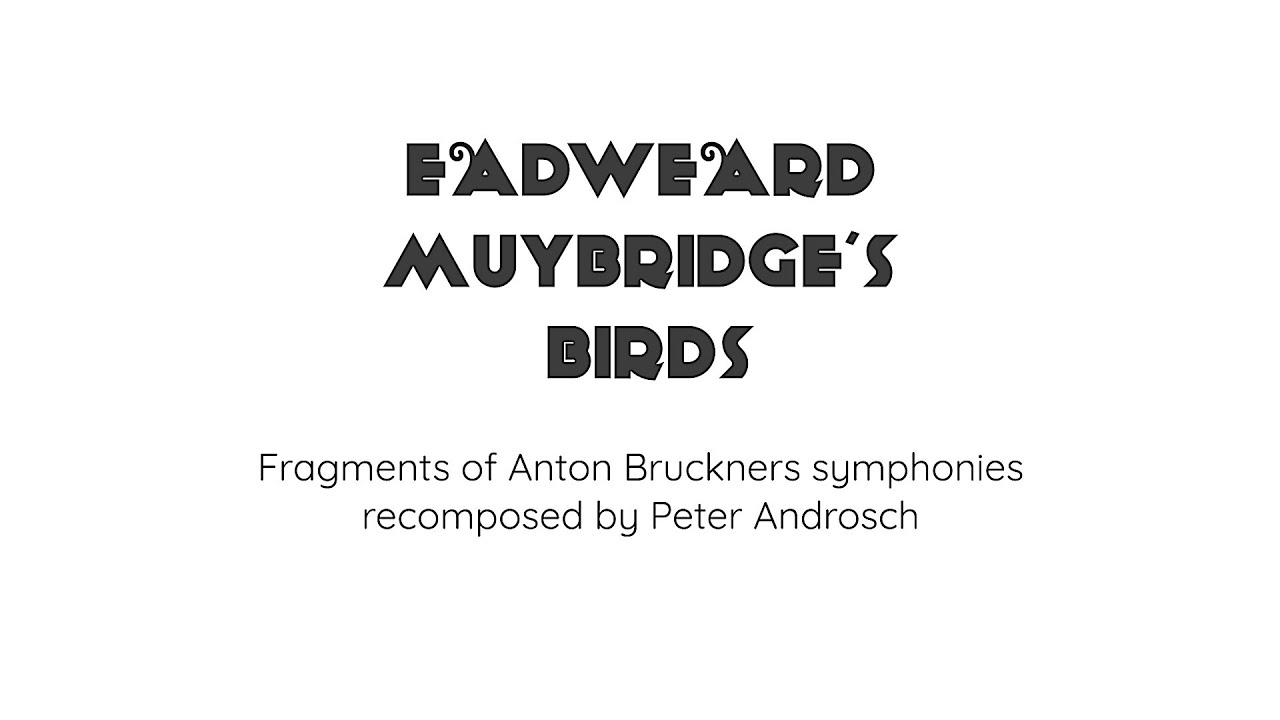 EADWEARD MUYBRIDGE'S BIRDS