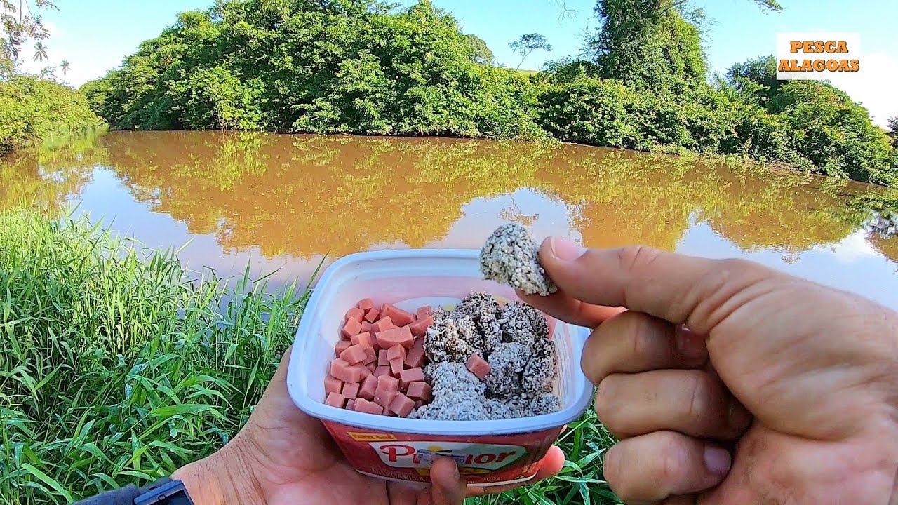 Quando usa a MELHOR ISCA não tem ERRO, muito PEIXE no BAMBU. Pescaria