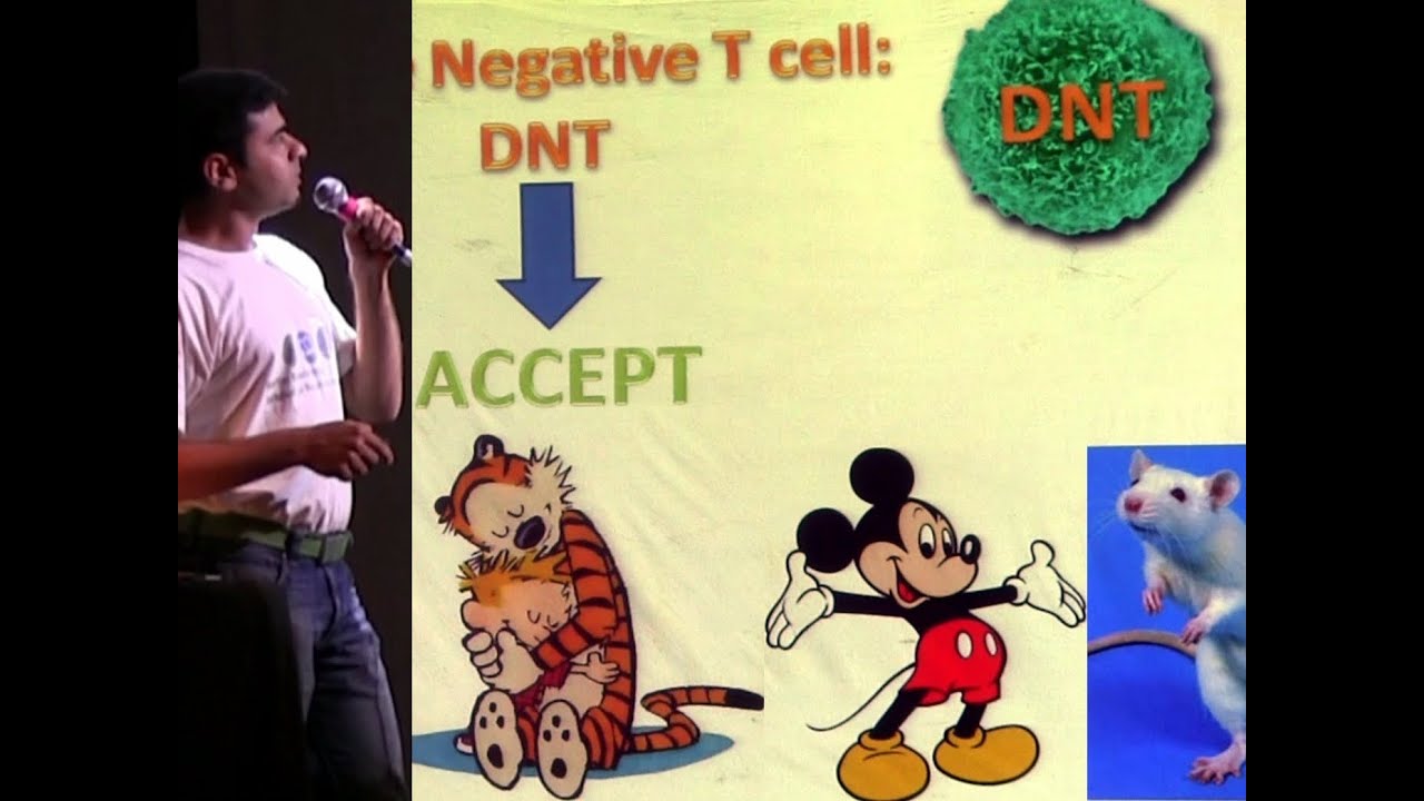 Transplantation Immunology: Do Two Negatives Make A Positive? (Science Slam)
