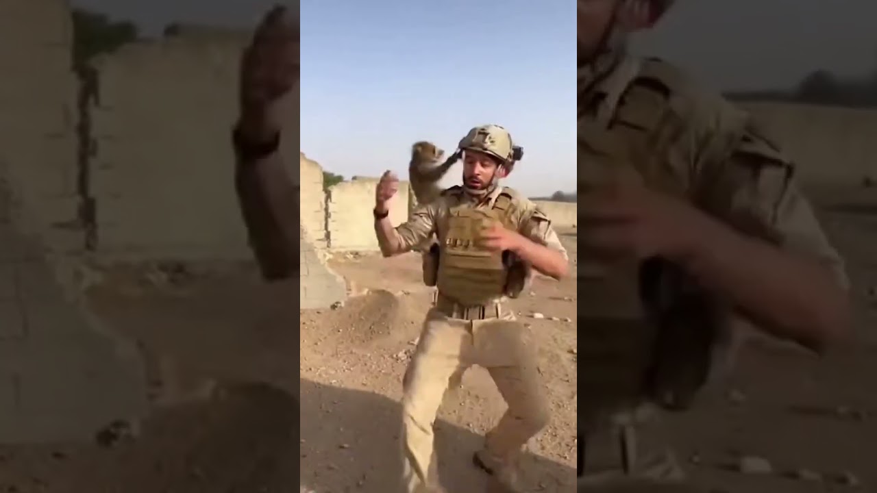 ⚠️ ¡MOMENTO DE TERROR! 😱 Mono le SACA la Granada al Soldado (¿Final Trágico?)