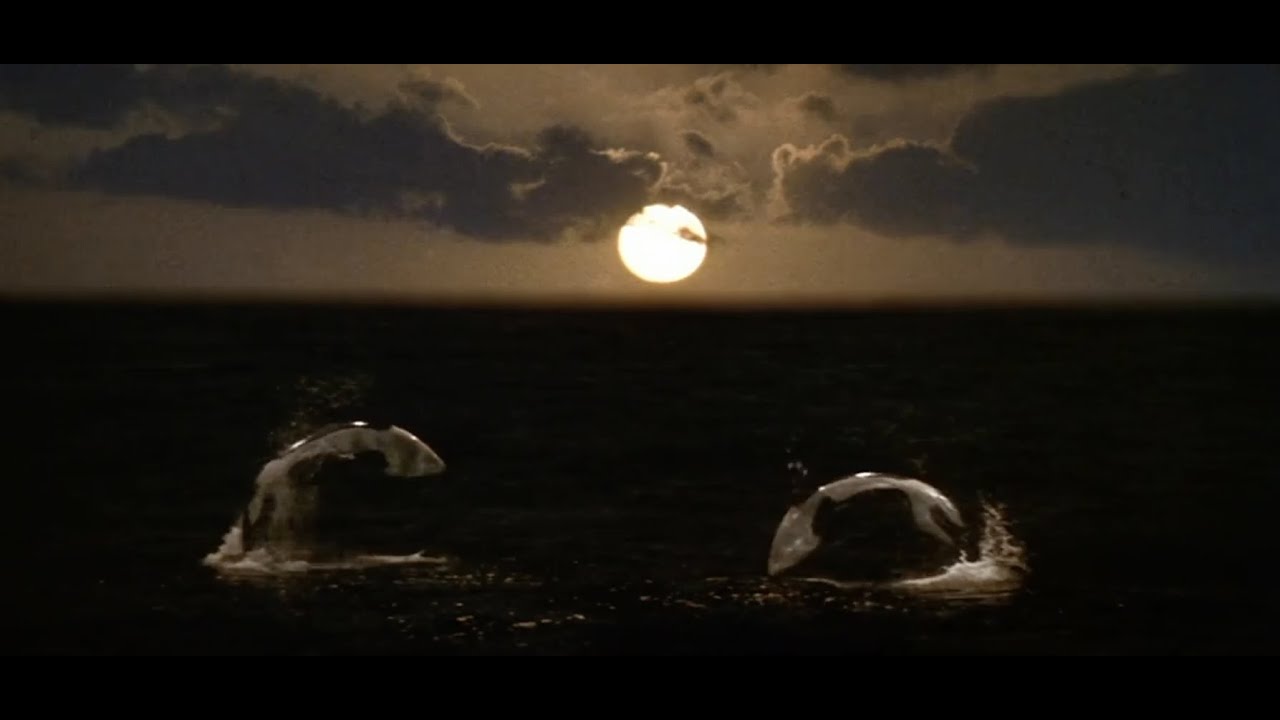 Orca: The Killer Whale (1977) Opening Scene