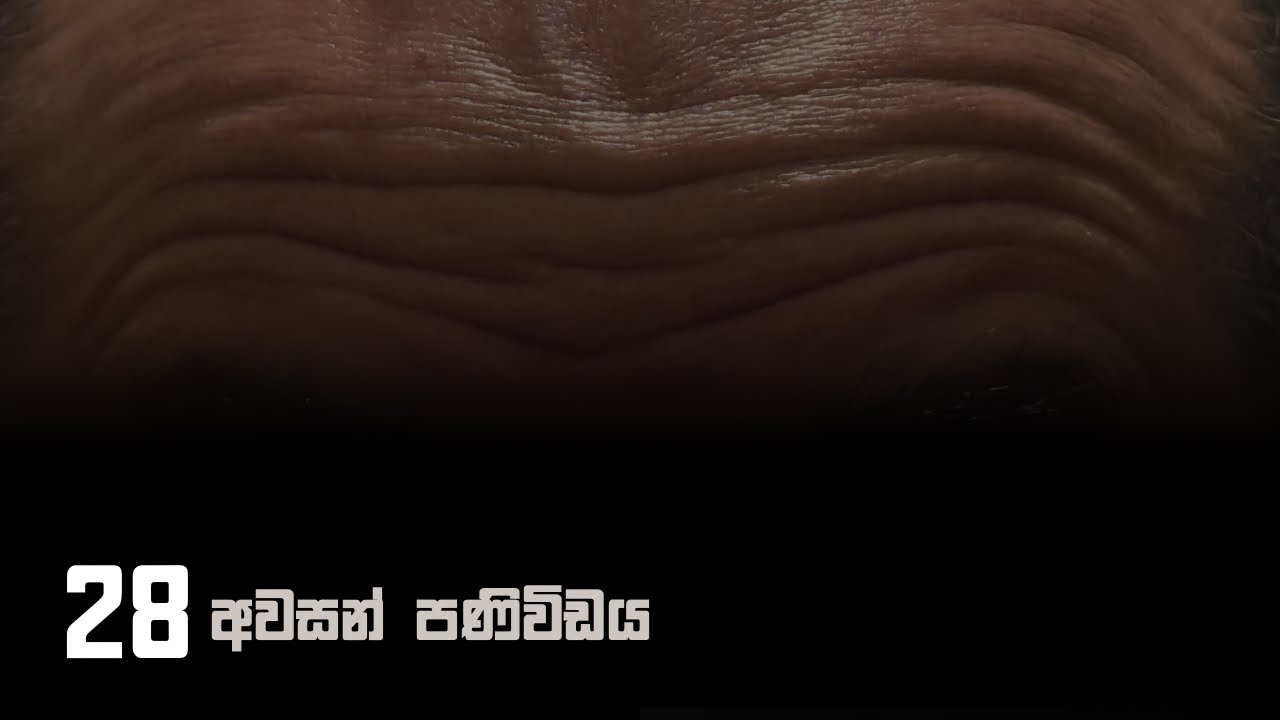 අවසන් පණිවිඩය 28