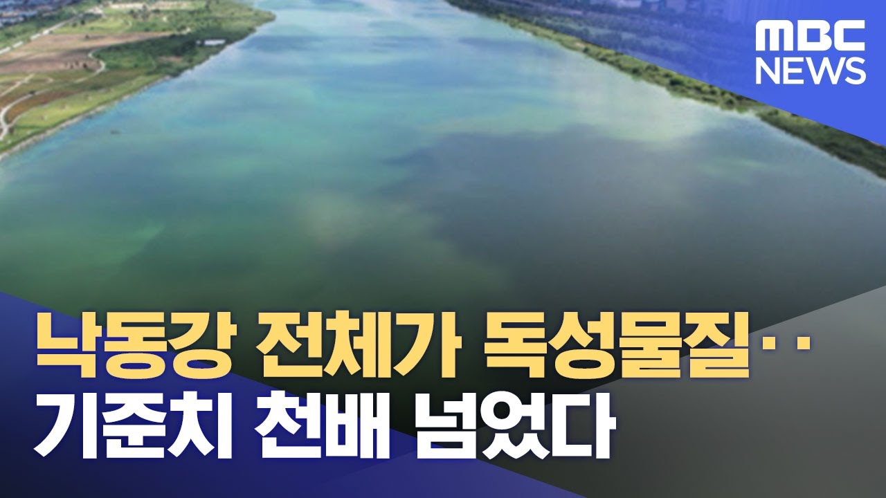 낙동강 전체가 독성물질‥기준치 천배 넘었다 (2022.08.05/뉴스투데이/MBC)