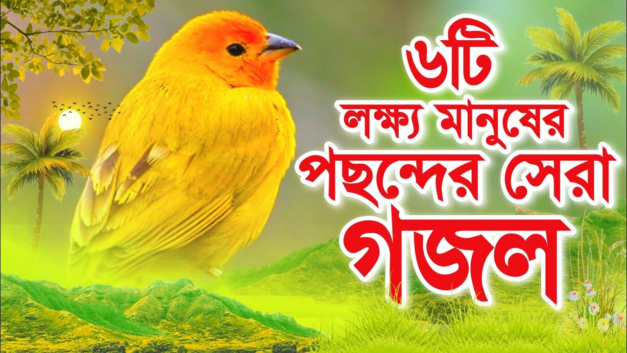 যে গজল গুলি লক্ষ্য লক্ষ্য মানুষ পছন্দ করেছে | Your Favourite Top 6 Gojol | New album gojol | ghazal
