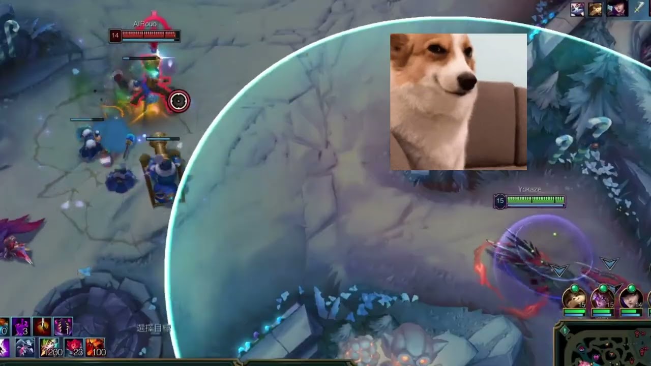 【League of Legends】娜斐芮真好玩 | Naafiri gamming.