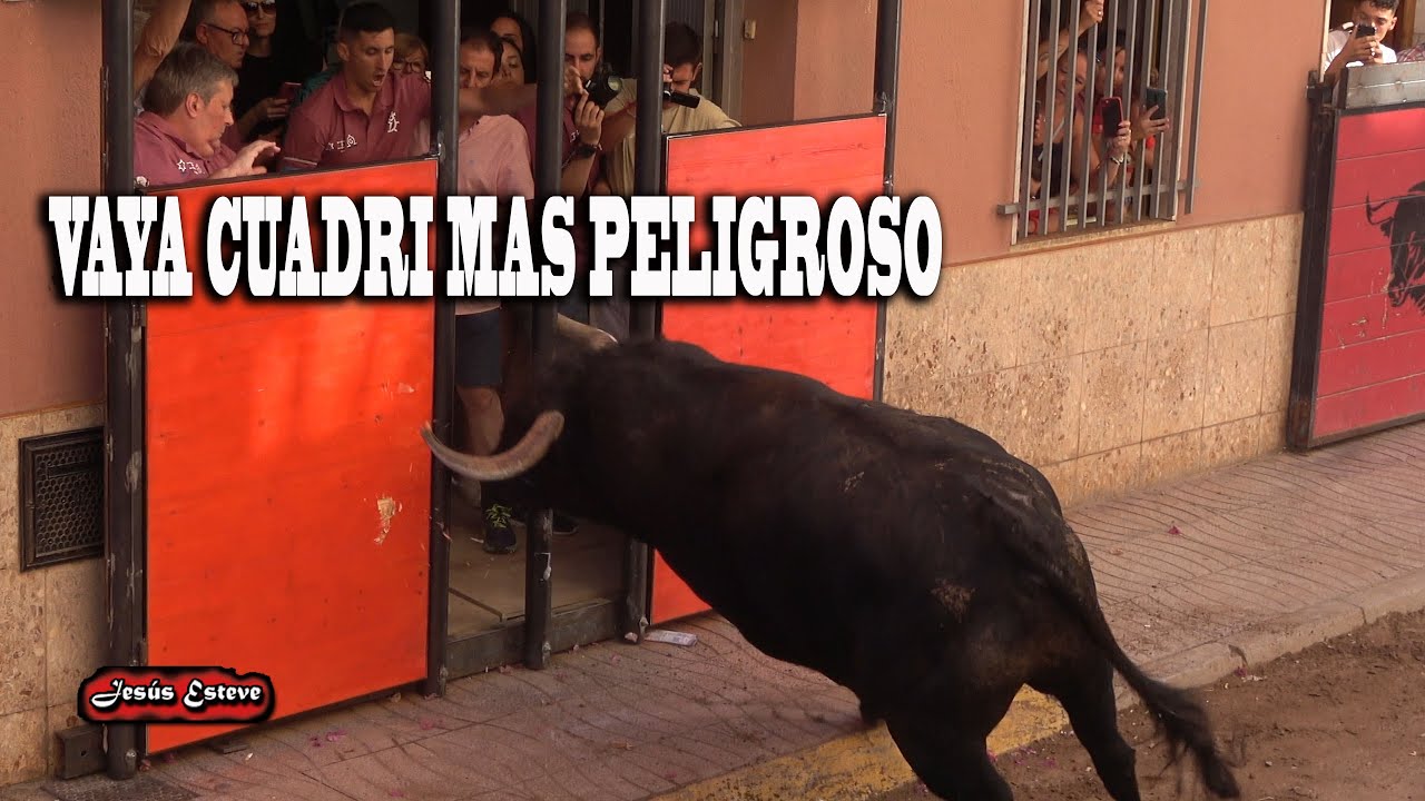 VAYA CUADRI 24 06 2022 RAFELBUNYOL