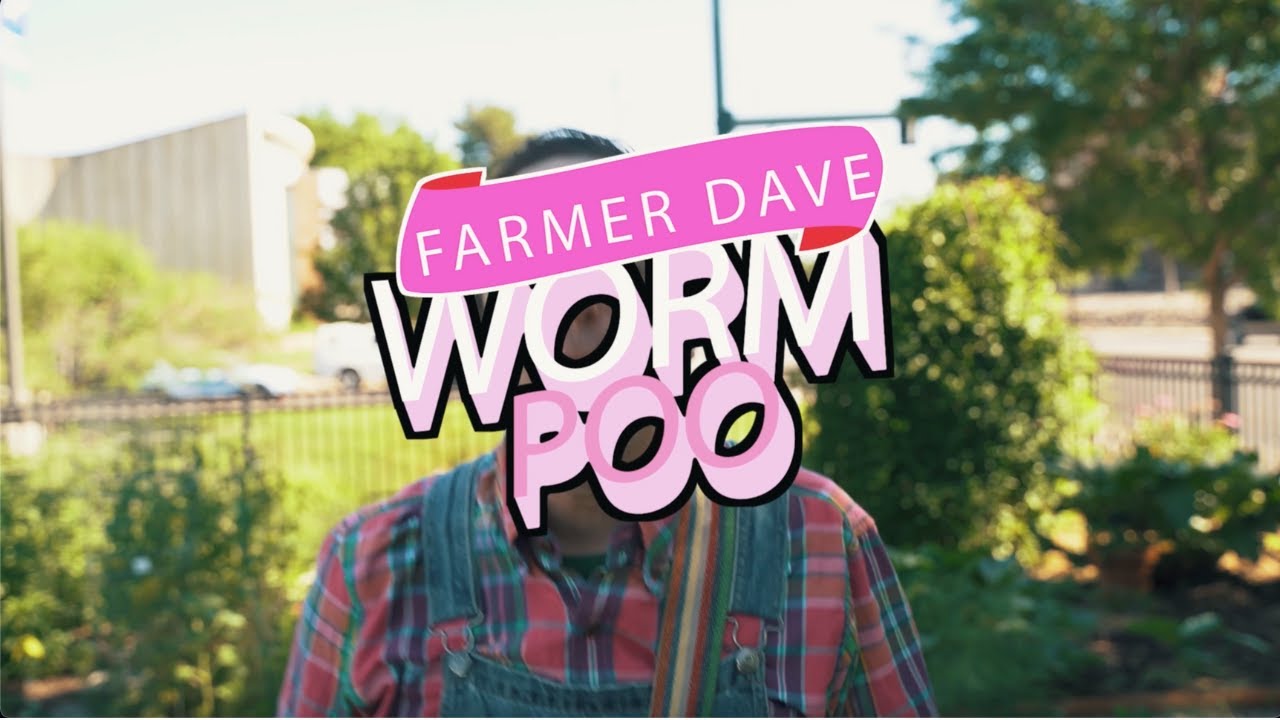 Worm Poo Song 🪱 Fun Kids Songs + Children's Music | Farmer Dave and Friends
