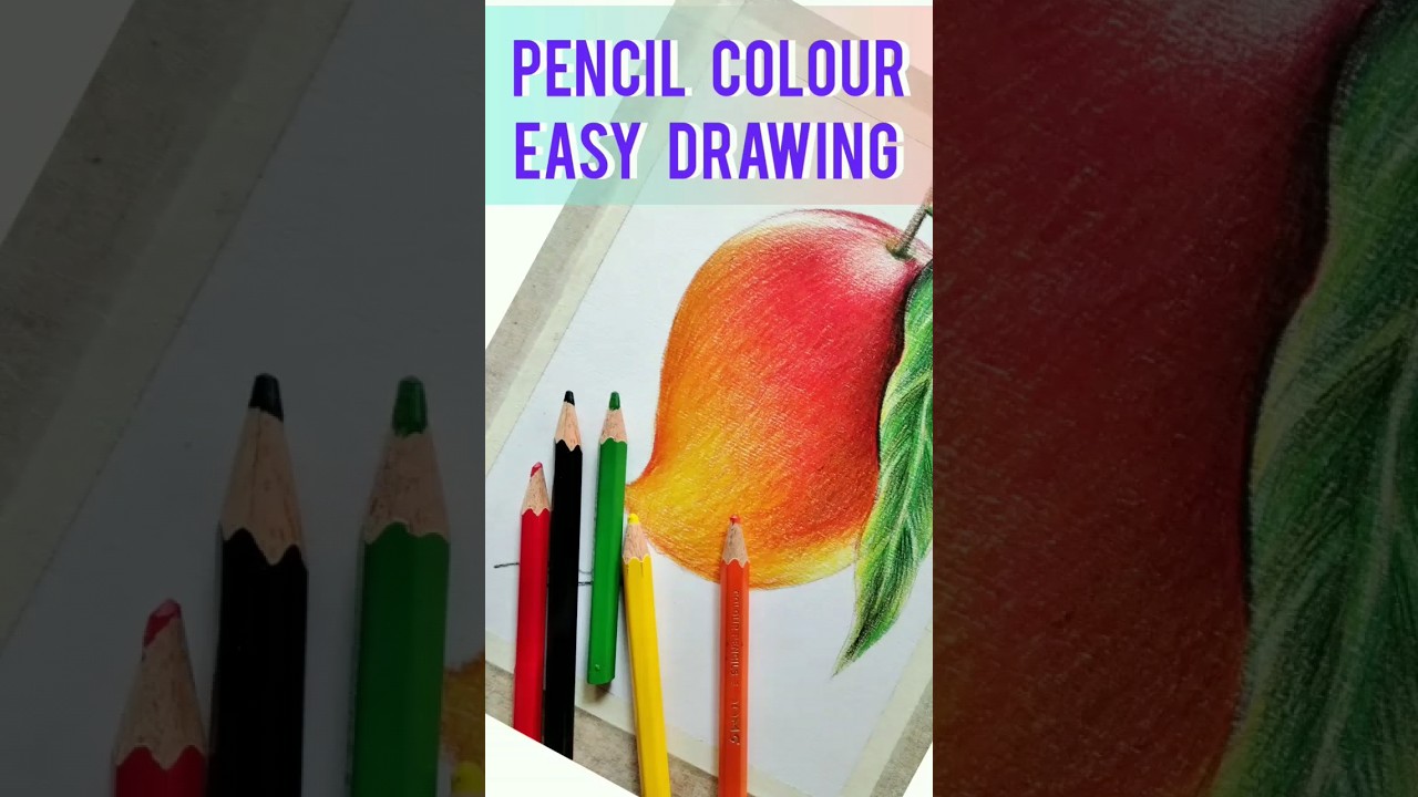 Pencil colour mango drawing  #shorts  #mango colour shading  #drawing sir  #mango drawing