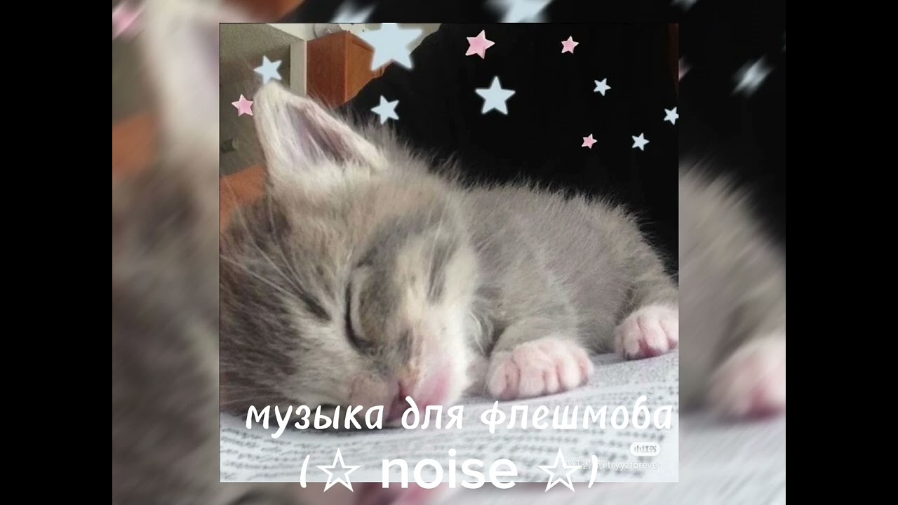 //💖музыка для флешмоба💖//все песни из тт//английская подборка💖