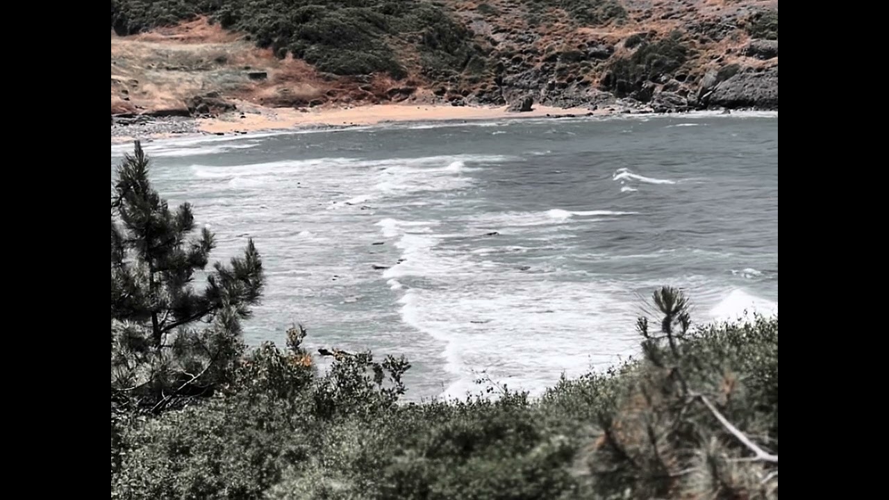 Yıldız Kenter - Ahmet Kaya (bir sana turkunum bir sana düşman)