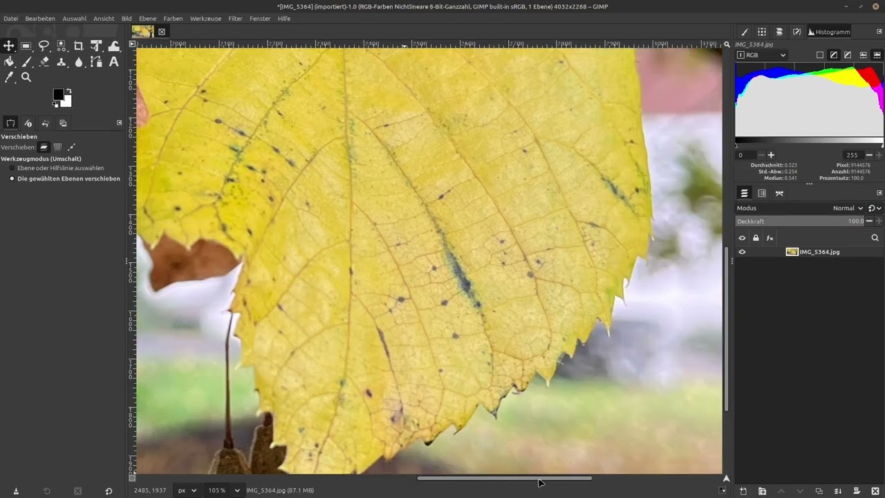#Gimp Returschiren für Einsteiger