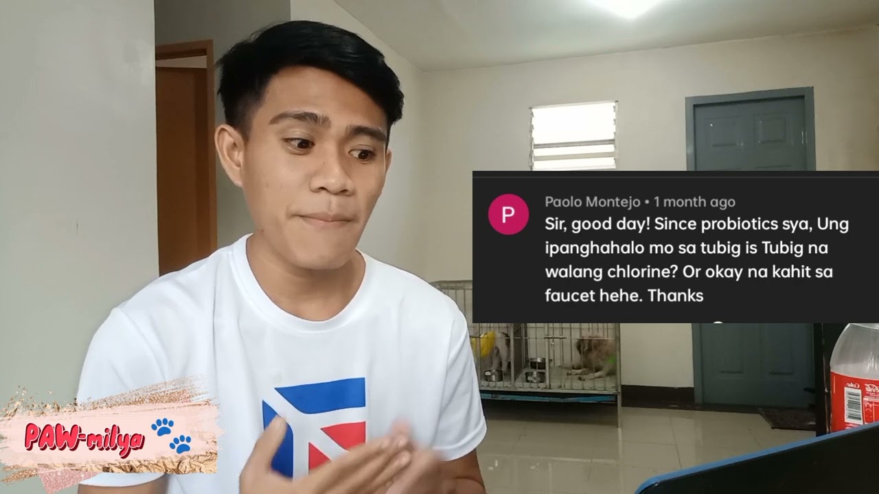 PET'S FUEL REVIEW | ANSWERING YOUR QUESTIONS