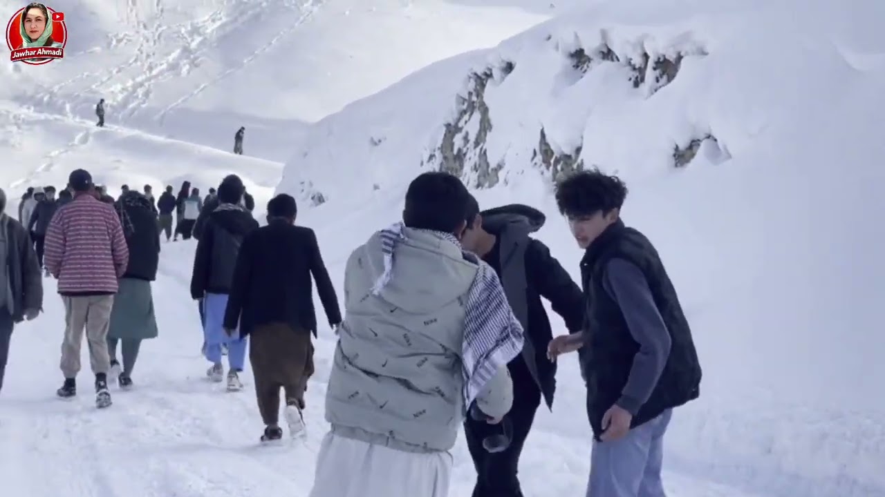 شهرک امید سبز پوشیده از برف، زیبایی که نمی‌توانی نگاهت را از آن برداری. 😊❤