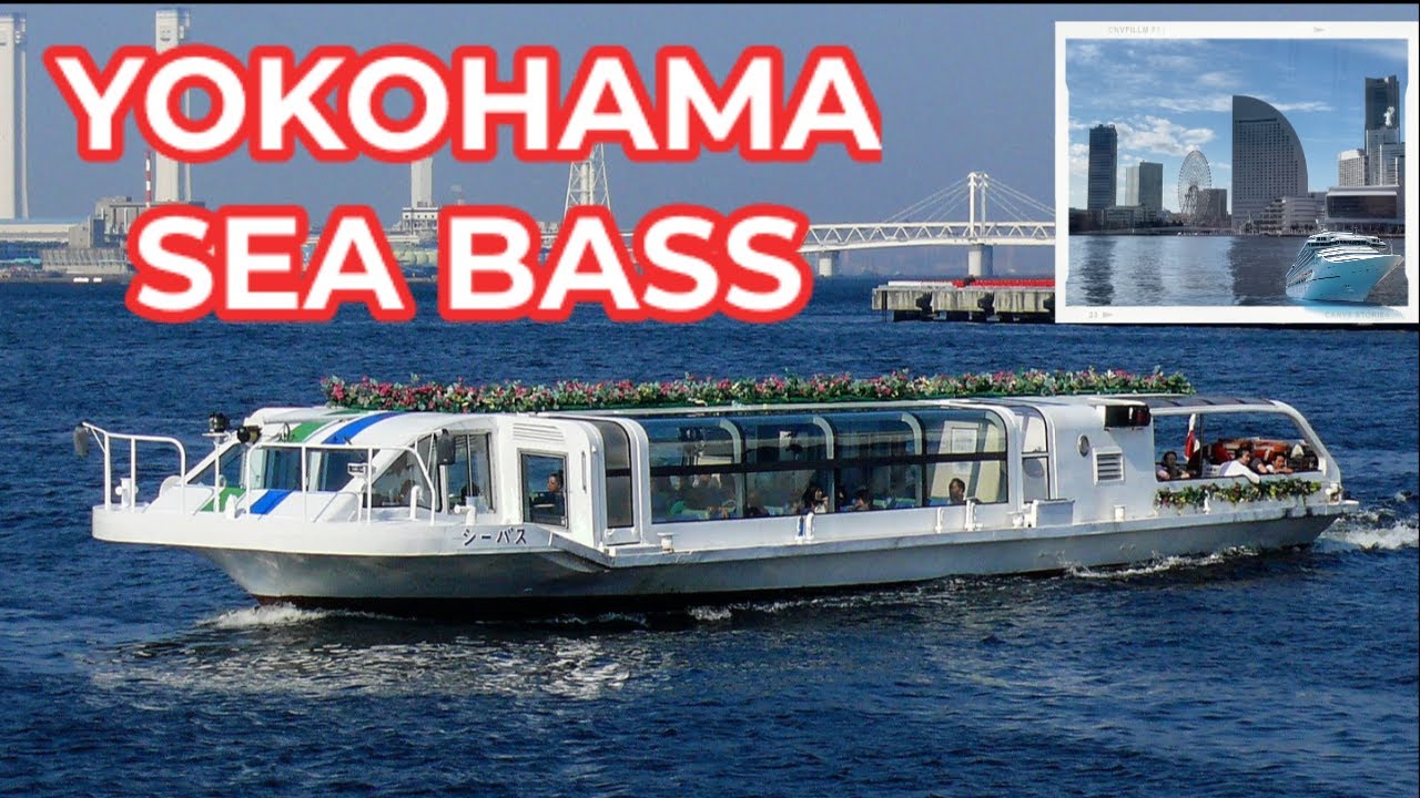 YOKOHAMA SEA BASS シーバス 🇯🇵 (横浜　)