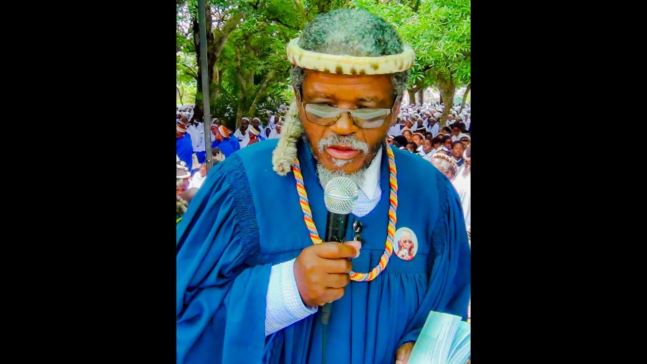 REV SHEZI