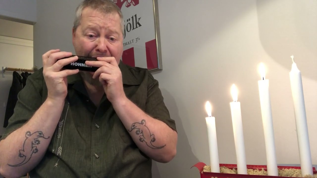 Hawk's Blues Jam: Hohner Super 64X Chromatic Harmonica in C - I Wish You Would