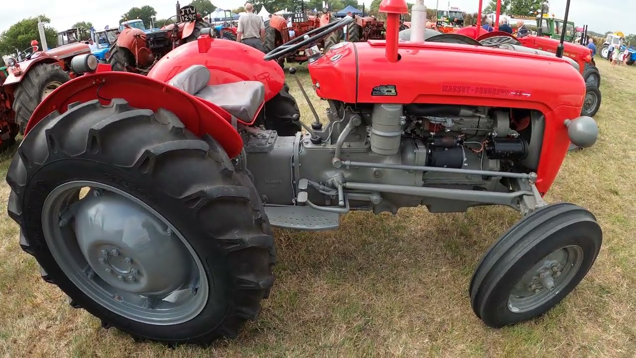 Восстановленный дизельный трактор Massey Ferguson 35 2.3 литра (37 л.с.), 1961 года выпуска, выст...