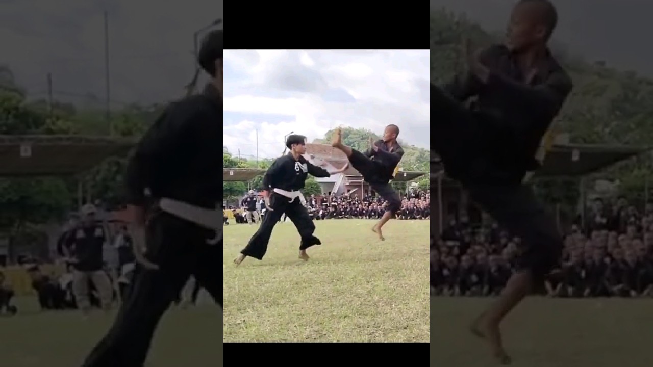 sambung brutal siswa PSHT #sambung #psht #jatahanpsht #pencaksilat #beladiri