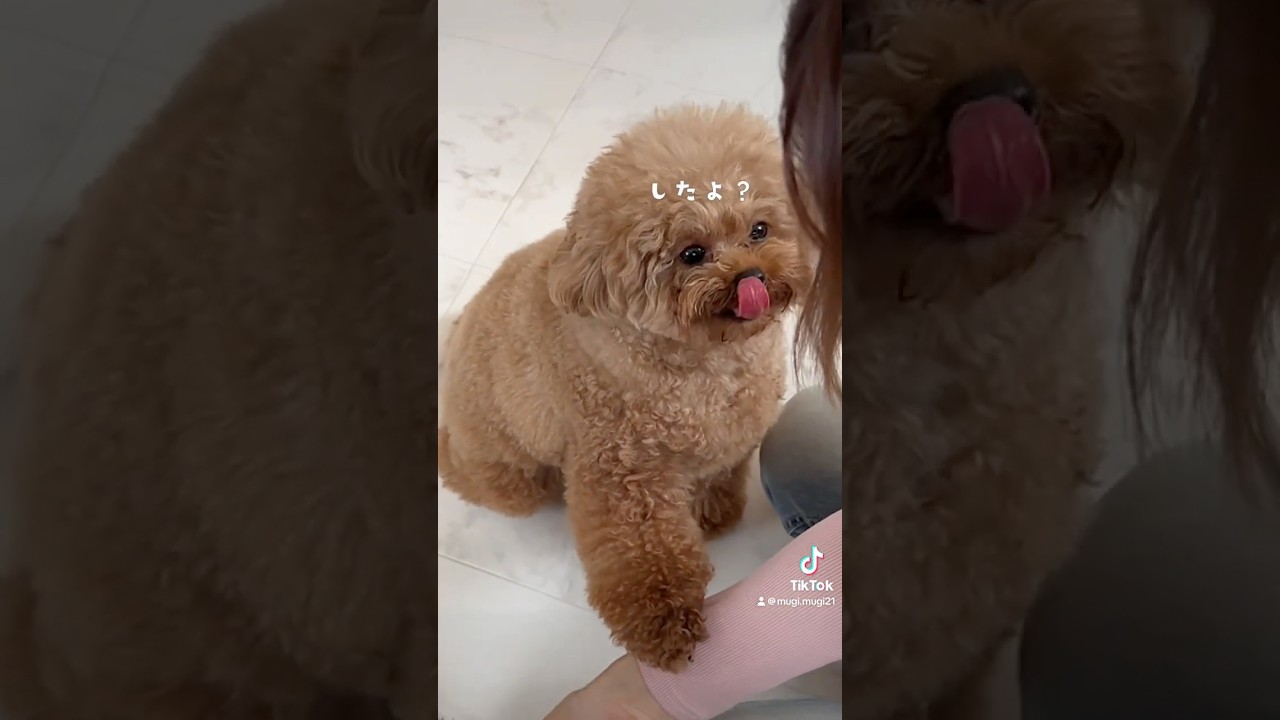 お手本見せてくれたw