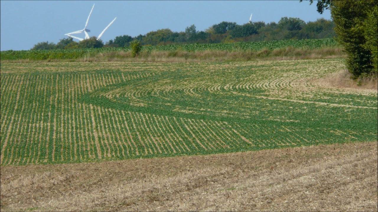 MAGNIFIQUES CHAMPS COULEURS (2) MAGNIFICENT FIELDS COLOURS (SOMME FRANCE )