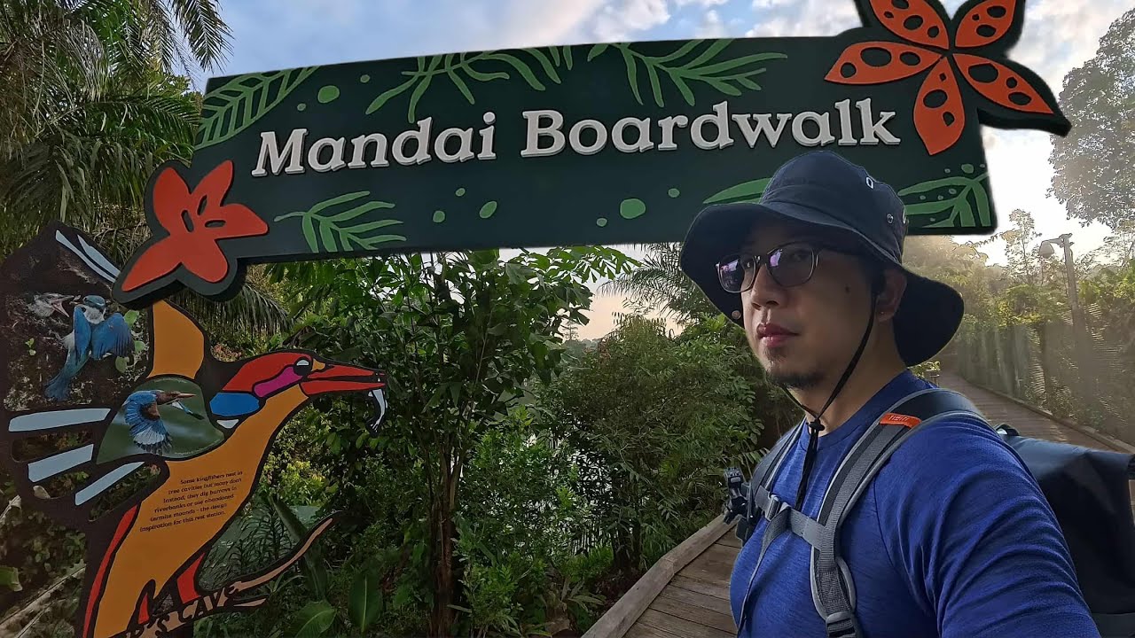 Early Morning Stroll at Mandai Boardwalk | Singapore
