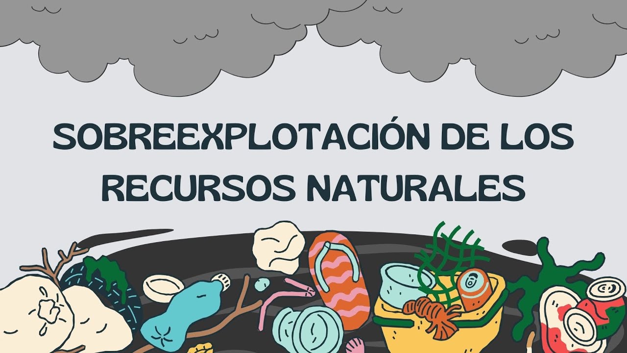 Sobreexplotaci&oacute;n de los recursos naturales| Andrea Trejo