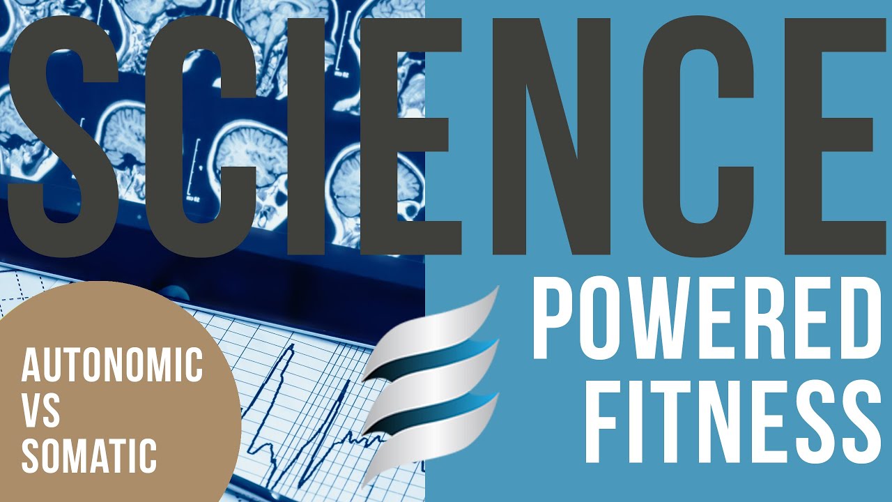 Science-Powered Fitness: Our Nervous Systems: Autonomic vs. Somatic &ndash; and the Asymmetrical Twist!