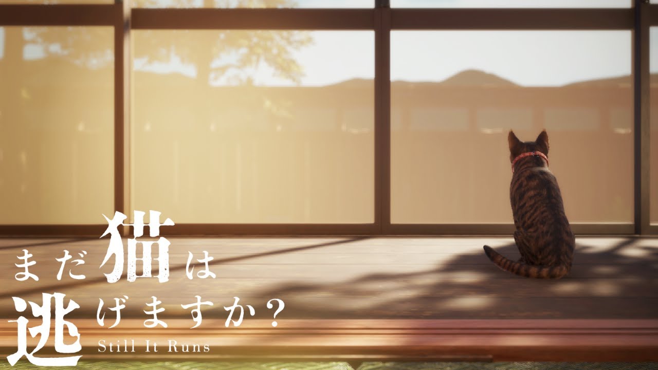 あの有名作家がシナリオを考えたホラーゲーム【まだ猫は逃げますか？】＃１