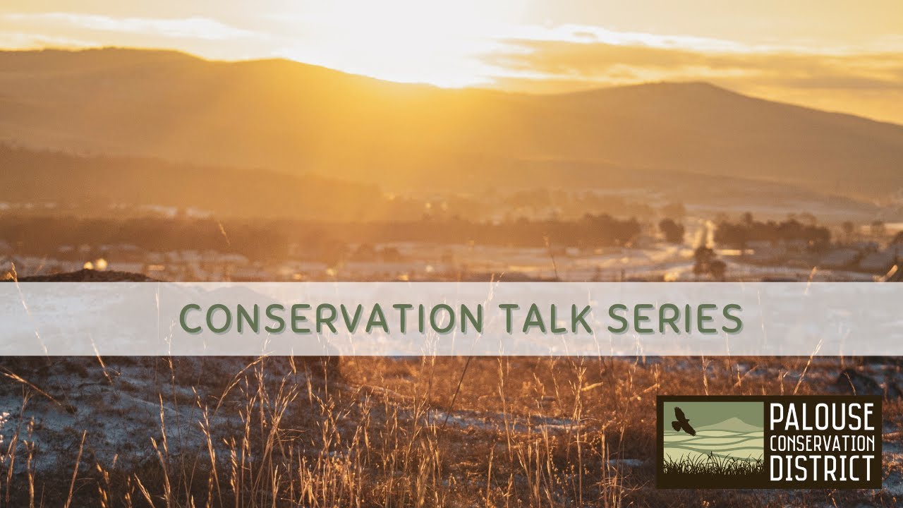 Conservation Talk Series | Nature-Based Fire Mitigation with Native Seeds and Grasses