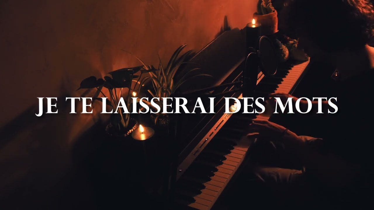 Je te laisserai de mots - Patrick Watson | Cover by Pottekes