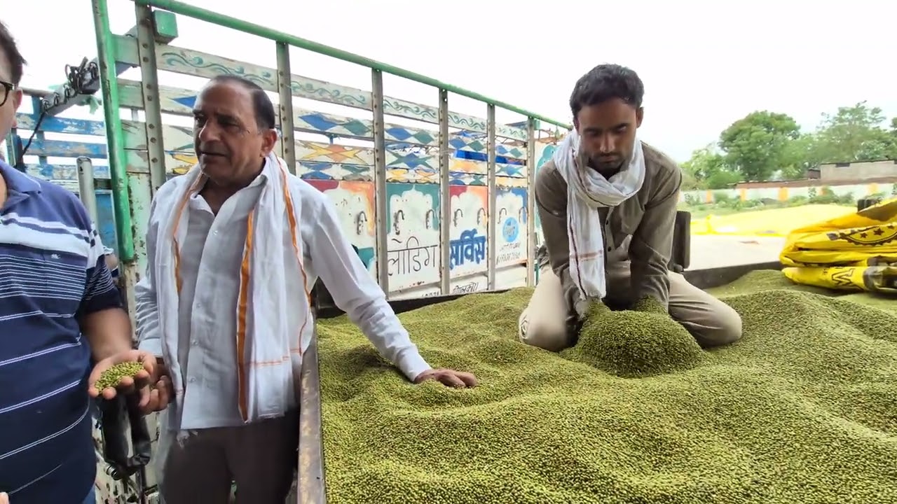 नई मूंग भाव 16 मई 2025,कृषि उपज मंडी खातेगांव।