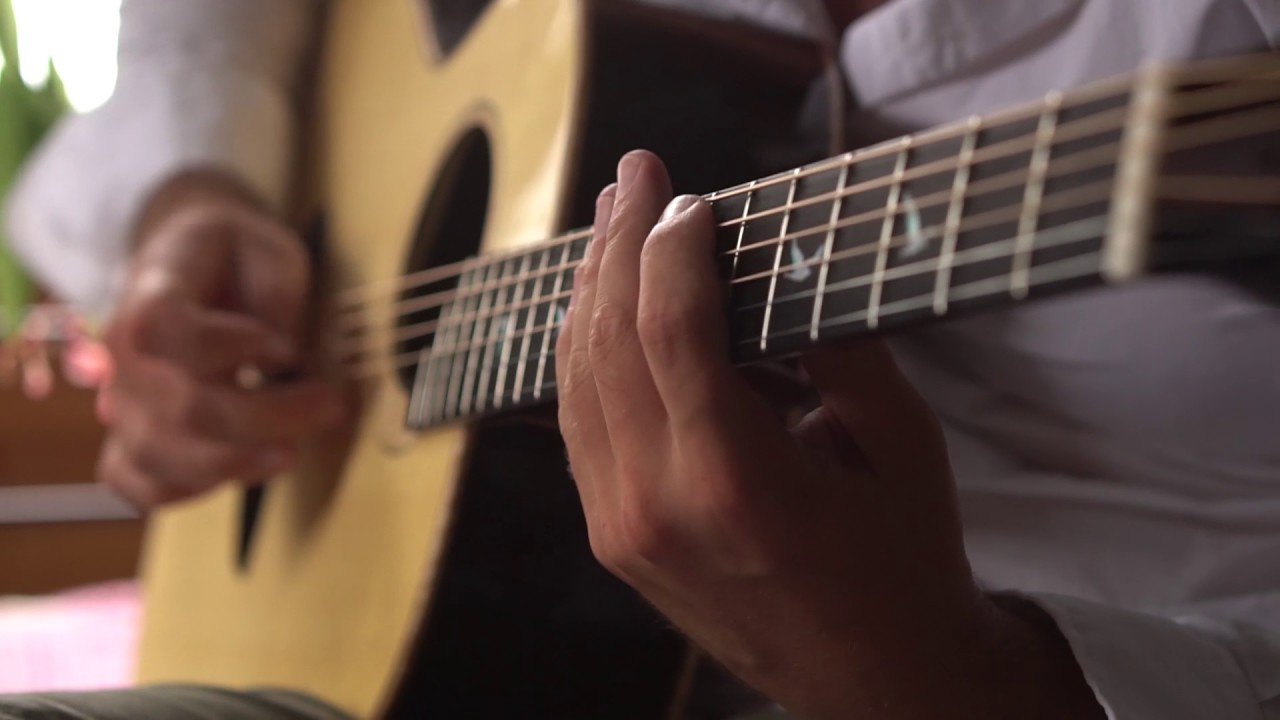 Alan Gogoll - Eloquent Frog (aNueNue Guitar Demo)