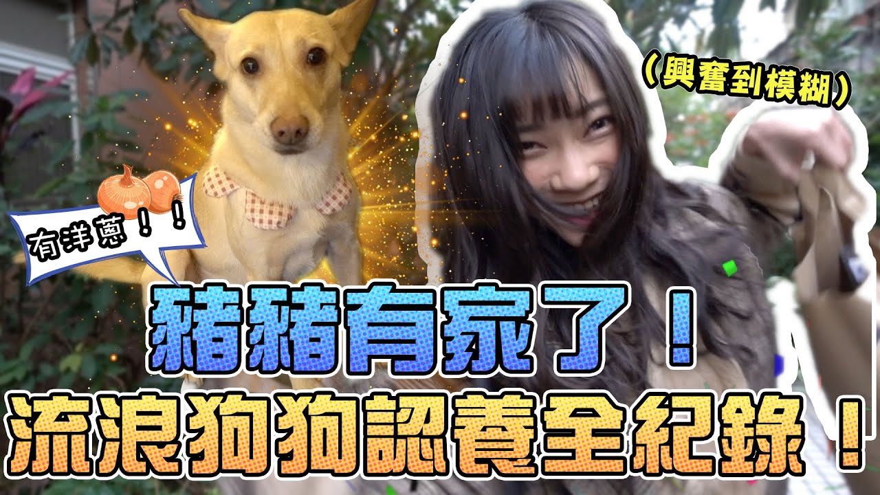 親自登門拜訪！毛孩認養全紀錄｜Sandykaka