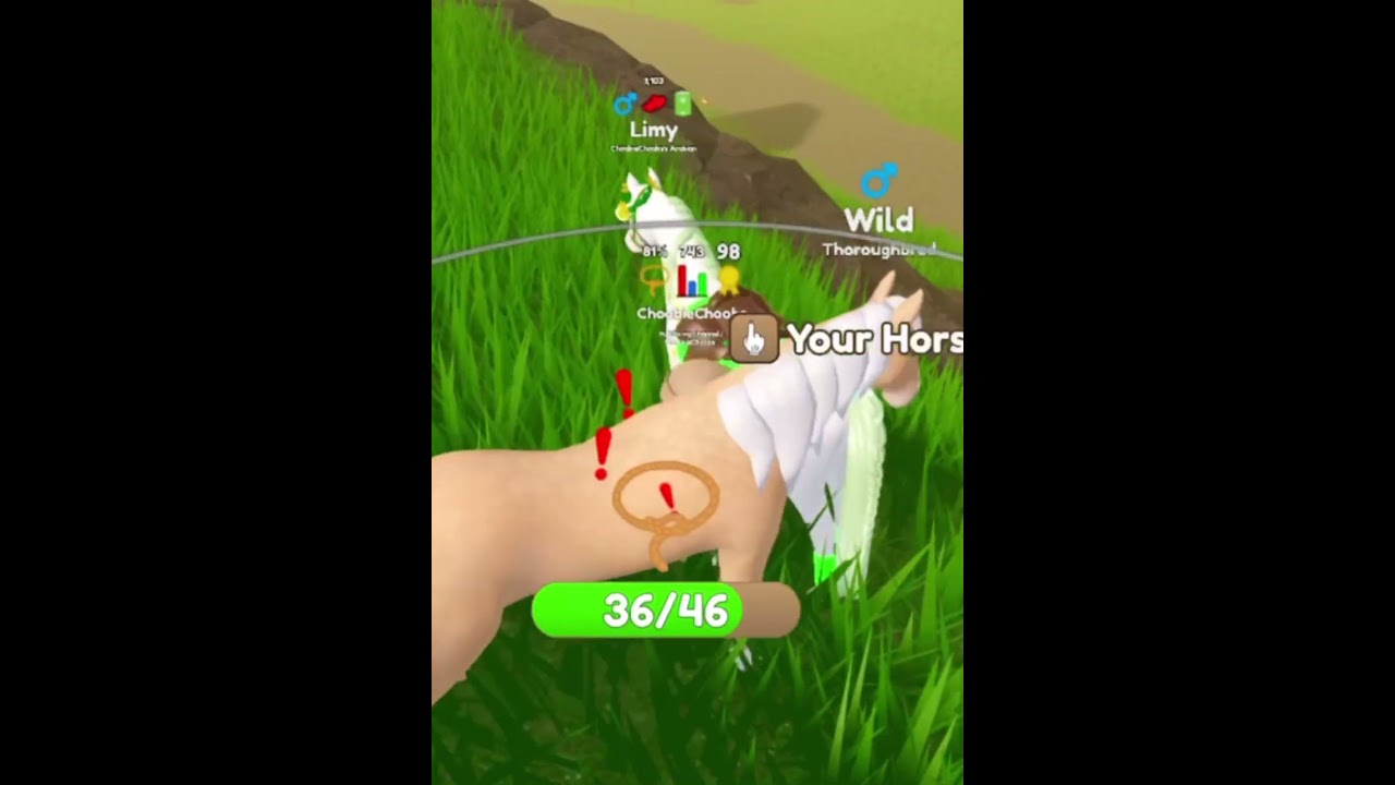 (Part 2!) Will I Catch an Island Unique Hair in Wild Horse Islands?!