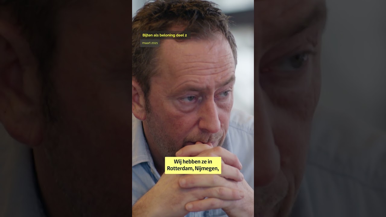Politiehonden mishandeld tijdens opleiding in Brabant | Zembla