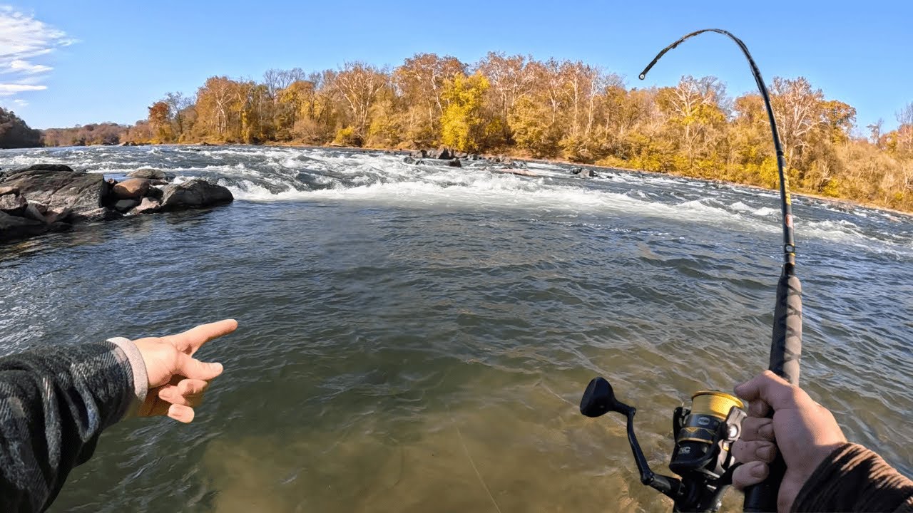 Searching For The River Giants!!!