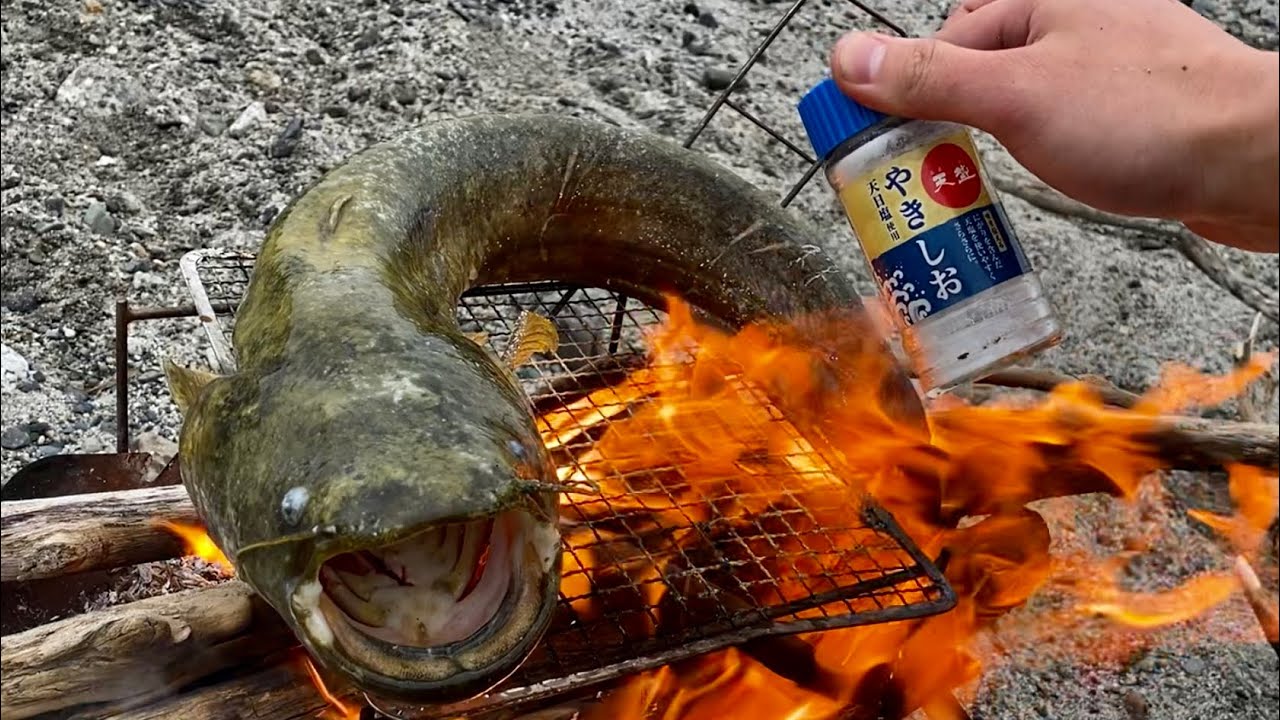 巨大ナマズを丸ごと焚火に放り込む料理