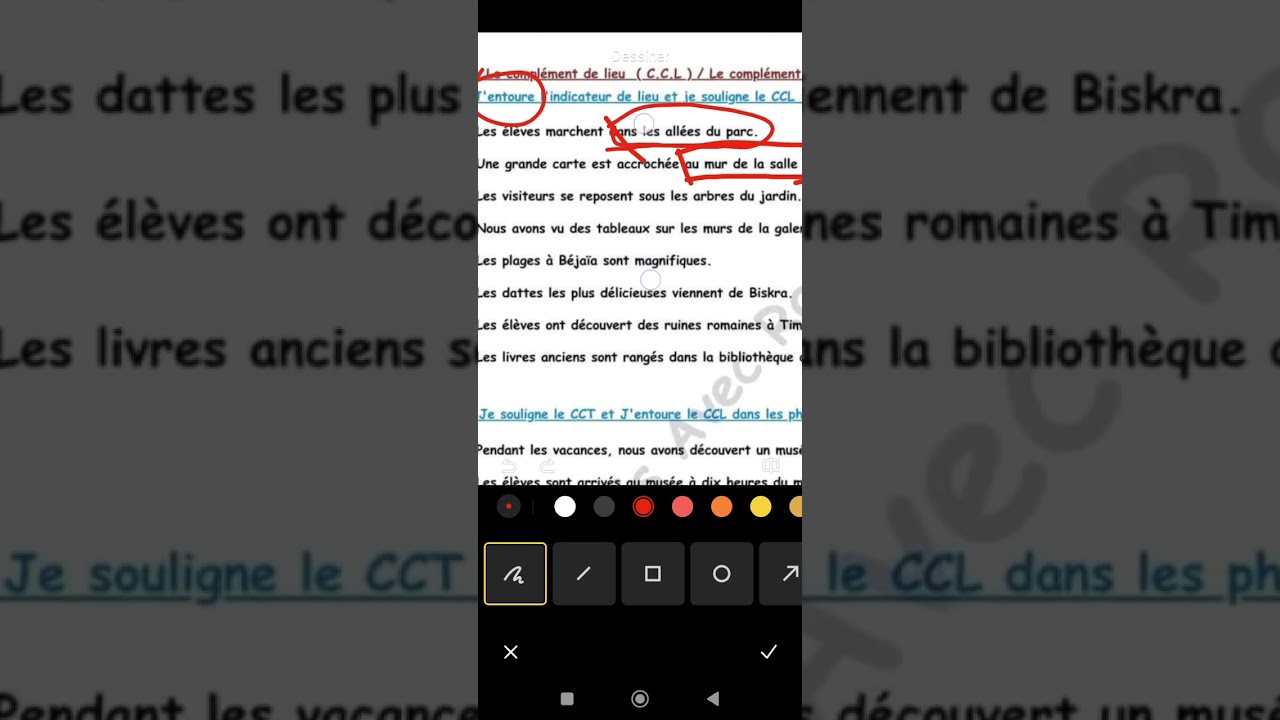le CCL.