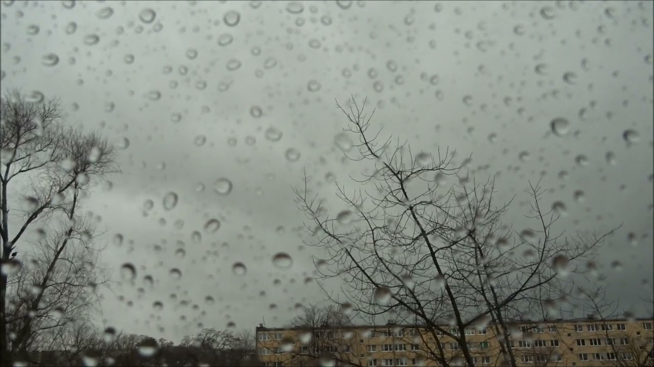 Wichura oraz niszczycielska burza śnieżna w Łowiczu i okolicach. 17.01. 2022.