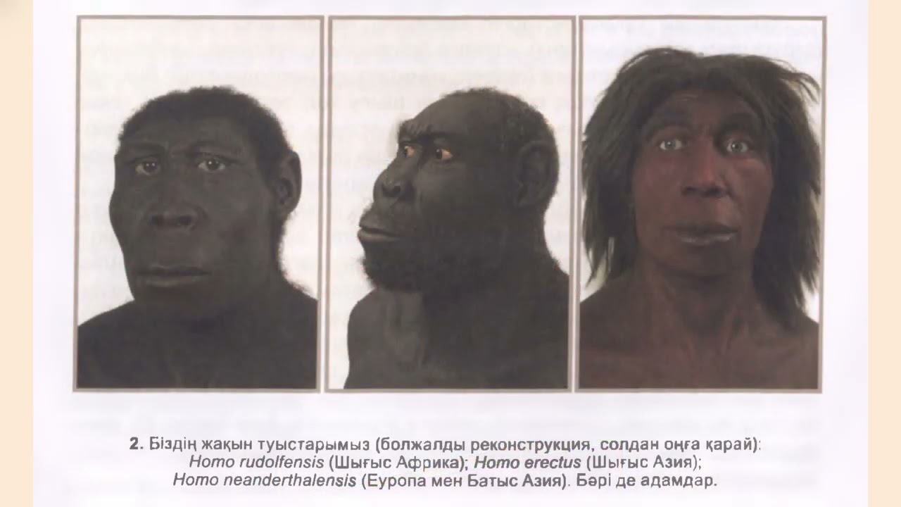 Ювал Ноаһ Харари - Sapiens: Адамзаттың қысқаша тарихы. 1-бөлім, 1-тарау | ҚАЗАҚША АУДИОКІТАП