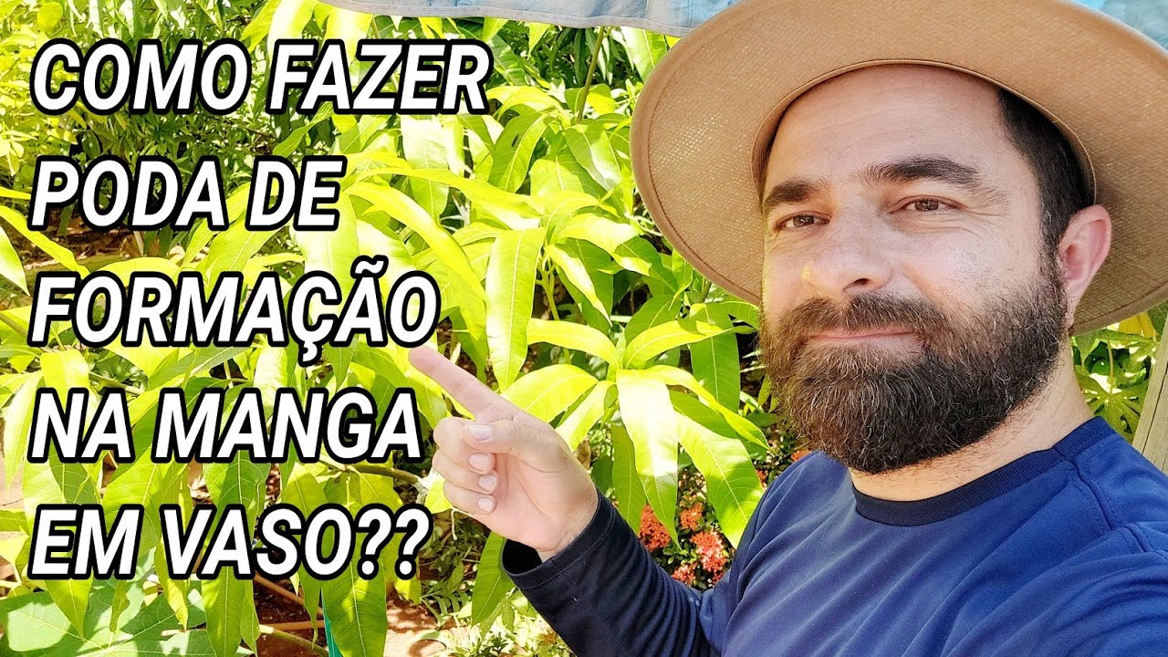 COMO FAZER PODA DE FORMAÇÃO NA MANGA EM VASO??