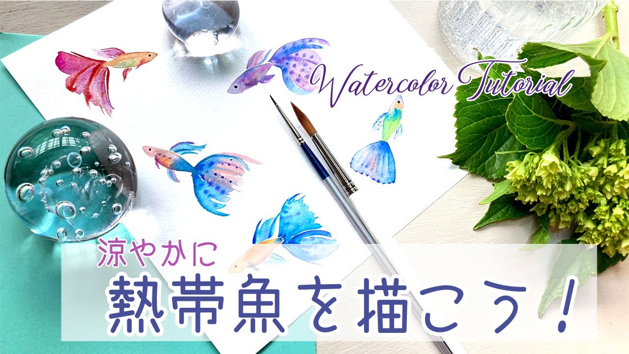 熱帯魚（グッピー）の描き方【水彩イラスト】How to draw tropical fish🐟