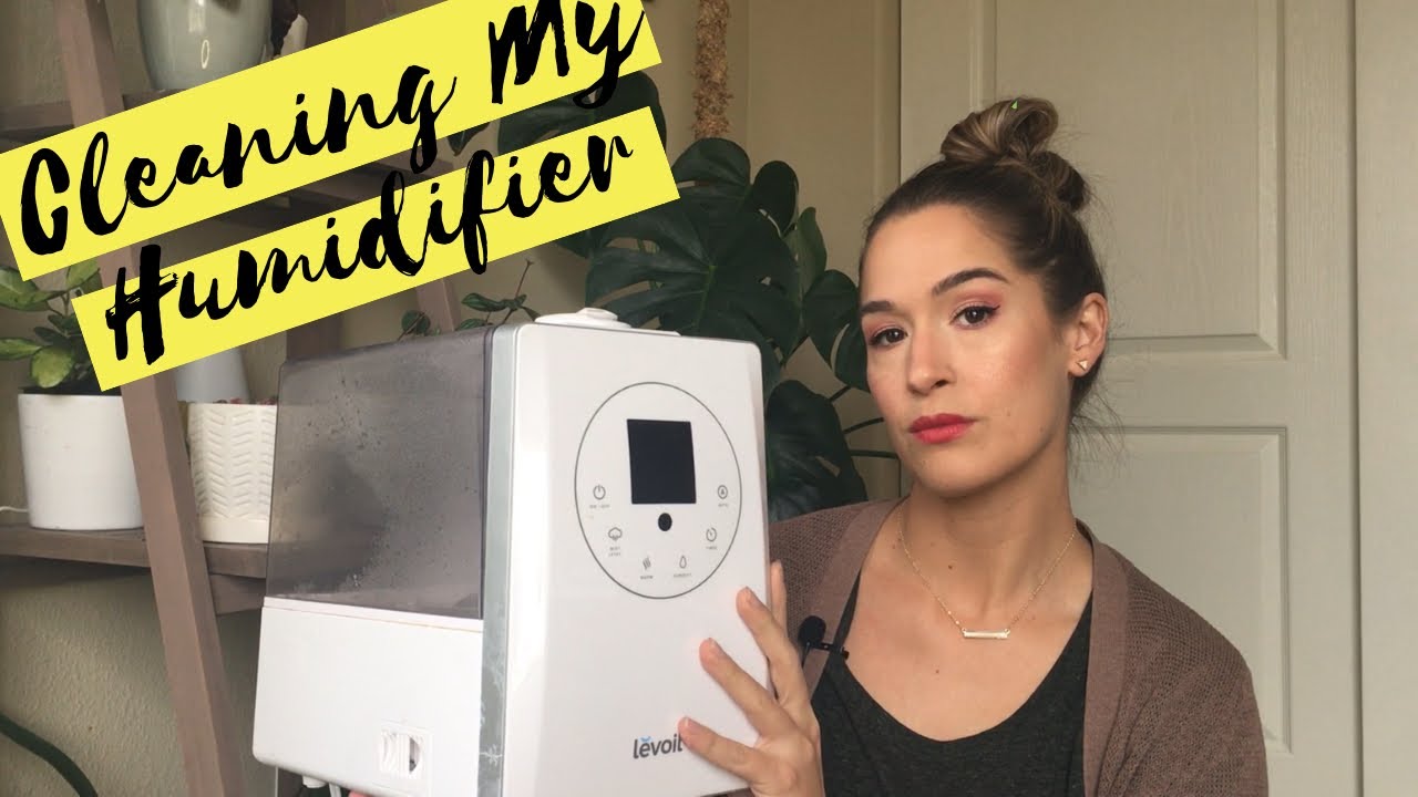 Cleaning My Levoit Humidifier