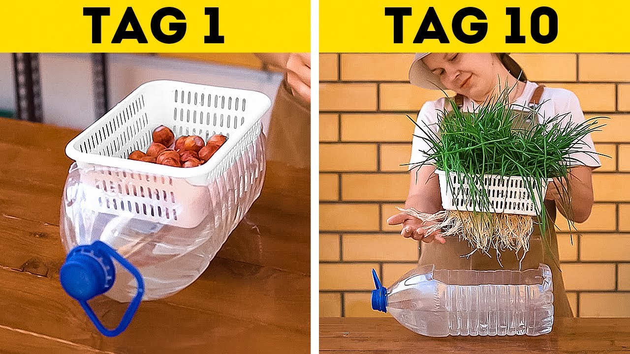 Wertvolle Gartentipps zum Anbau eigener Pflanzen und Gem&uuml;se