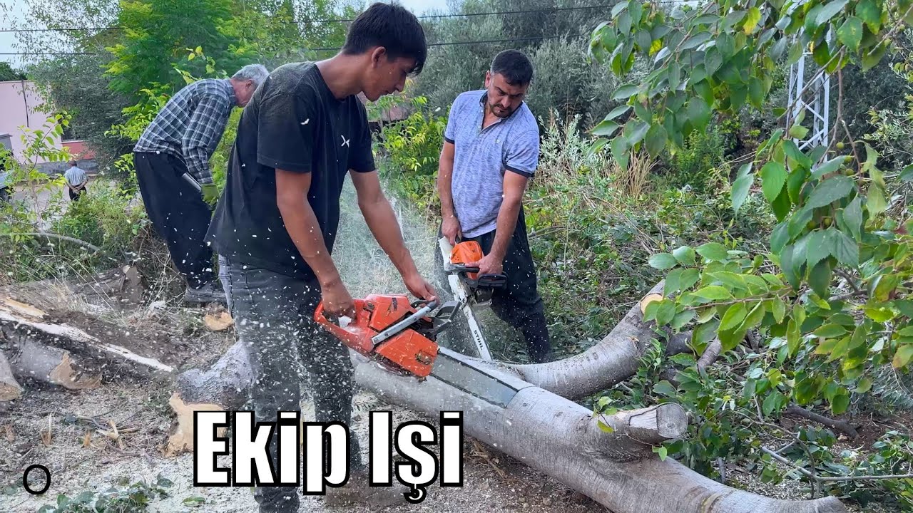 Bu Ekip İşinin Ehli Dehşet Çalışıyorlar !