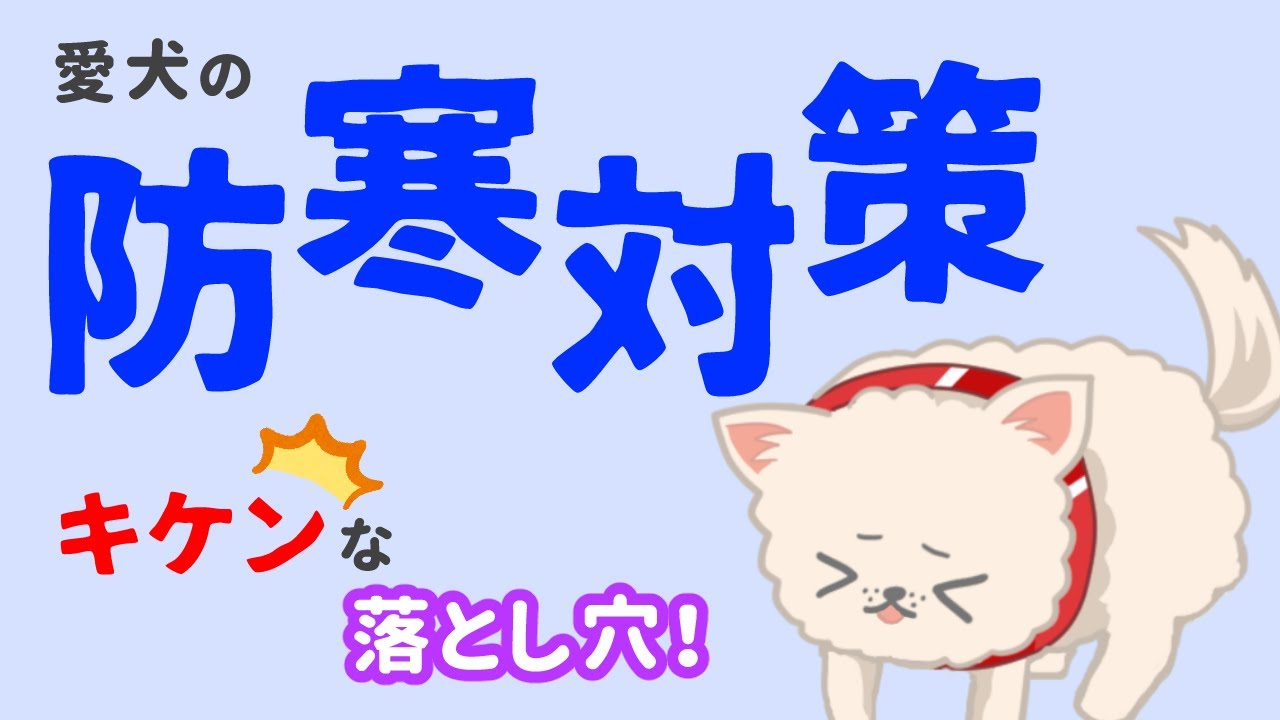 犬の寒さ対策！見落としやすい5つの注意点
